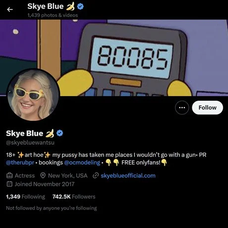 5414d_skye-blue-twitter-account-review.webp