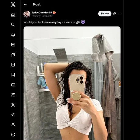 bc9fc_spicycookies95.webp