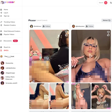 c734488-picazor_watermark (1).webp