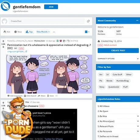c74d6_gentlefemdom.webp